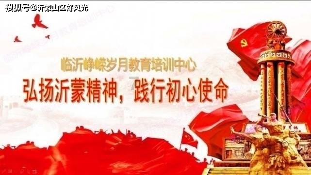 飞天小猪仔